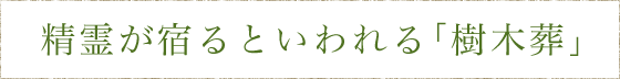 精霊が宿るといわれる「樹木葬」